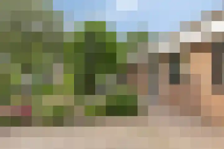 Vogelwikke 20 Lochem thumbnail 49