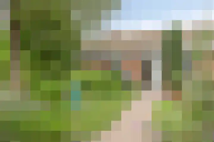 Vogelwikke 20 Lochem thumbnail 5