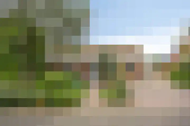 Vogelwikke 20 Lochem thumbnail 50