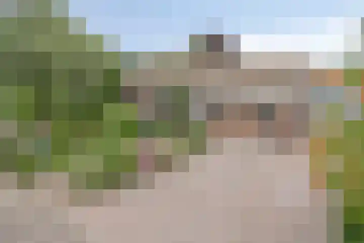 Vogelwikke 20 Lochem thumbnail 51