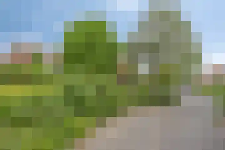 Vogelwikke 20 Lochem thumbnail 52