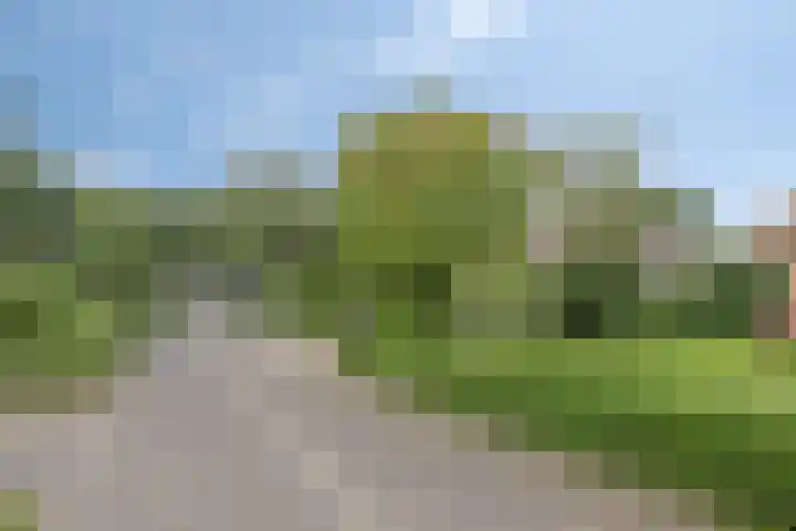 Vogelwikke 20 Lochem thumbnail 53