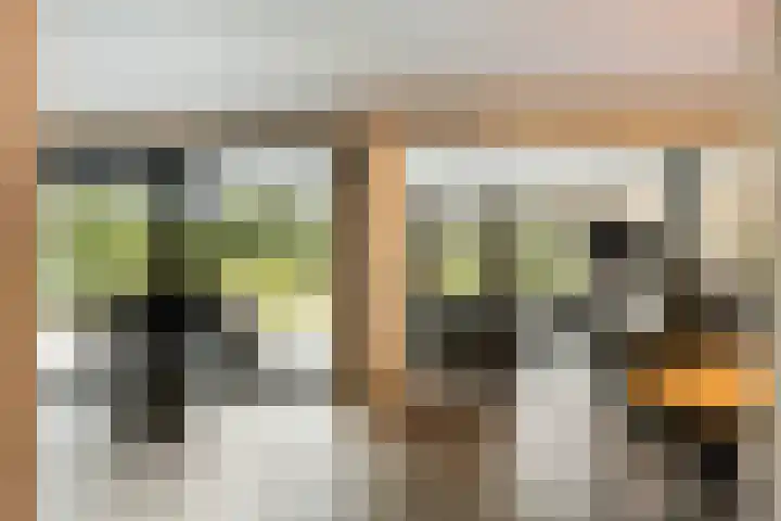 Vogelwikke 20 Lochem thumbnail 8