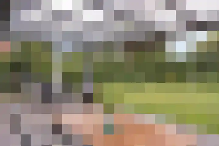 Vogelwikke 20 Lochem thumbnail 9