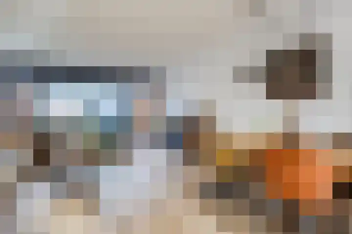 Vogelwikke 20 Swifterbant thumbnail 10
