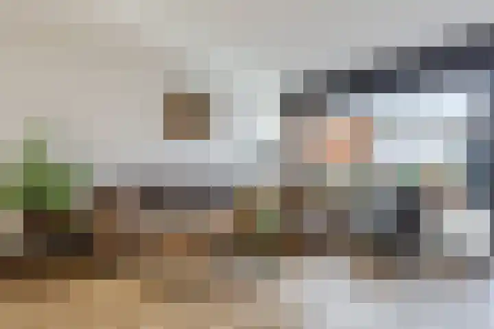Vogelwikke 20 Swifterbant thumbnail 11