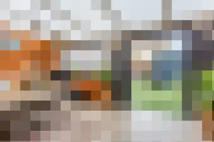 Vogelwikke 20 Swifterbant thumbnail 13
