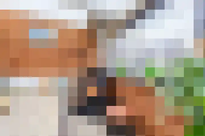 Vogelwikke 20 Swifterbant thumbnail 14