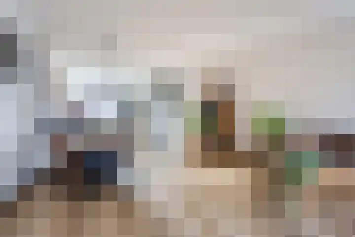 Vogelwikke 20 Swifterbant thumbnail 17
