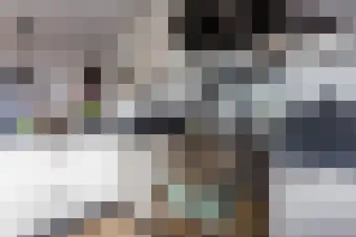Vogelwikke 20 Swifterbant thumbnail 21