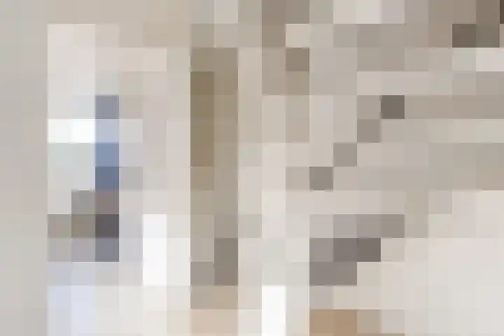 Vogelwikke 20 Swifterbant thumbnail 22
