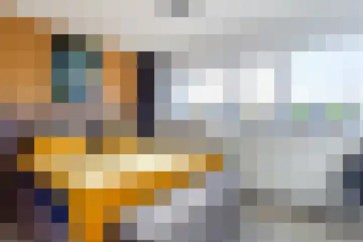 Vogelwikke 20 Swifterbant thumbnail 23