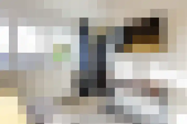 Vogelwikke 20 Swifterbant thumbnail 24