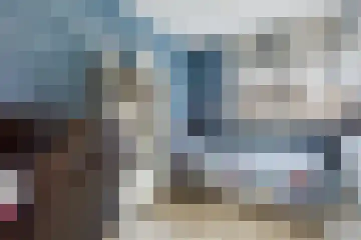 Vogelwikke 20 Swifterbant thumbnail 25