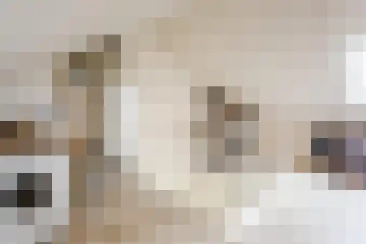 Vogelwikke 20 Swifterbant thumbnail 32