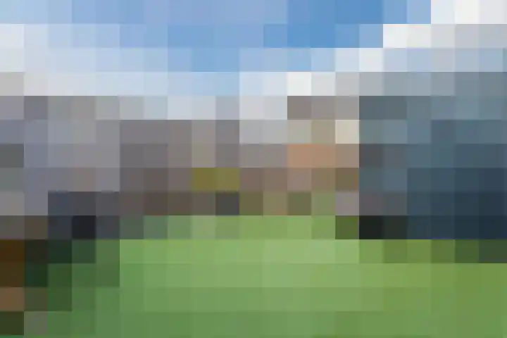 Vogelwikke 20 Swifterbant thumbnail 36