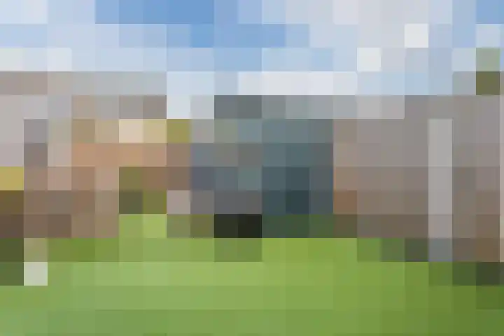 Vogelwikke 20 Swifterbant thumbnail 37