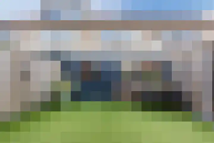 Vogelwikke 20 Swifterbant thumbnail 38