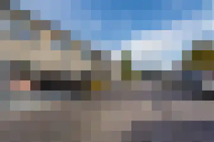 Vogelwikke 20 Swifterbant thumbnail 4