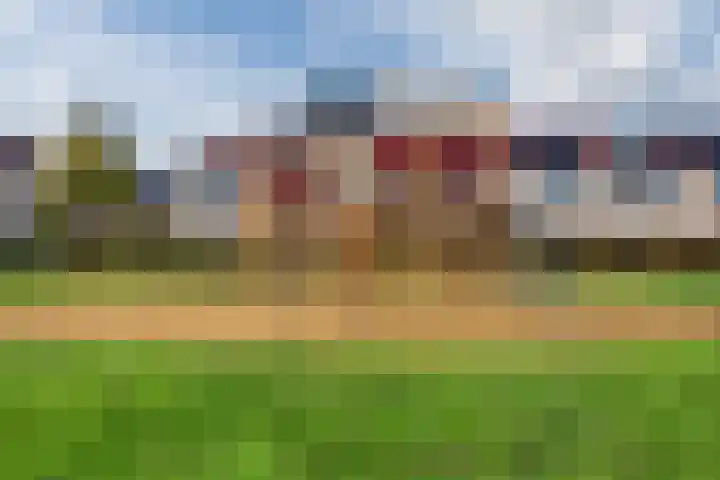 Vogelwikke 20 Swifterbant thumbnail 40