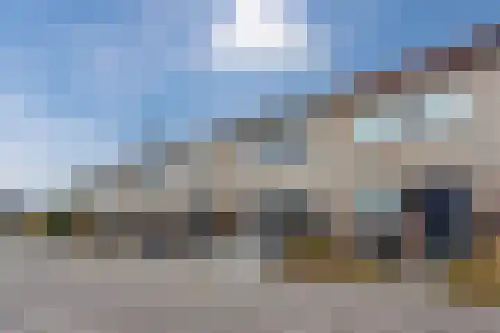 Vogelwikke 20 Swifterbant thumbnail 5