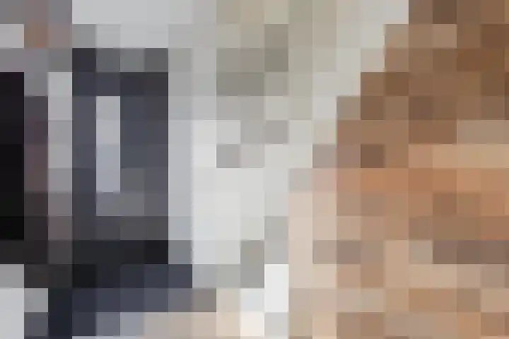 Vogelwikke 20 Swifterbant thumbnail 7