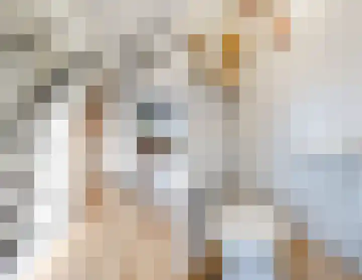 Vogelwikke 20 Swifterbant thumbnail 8