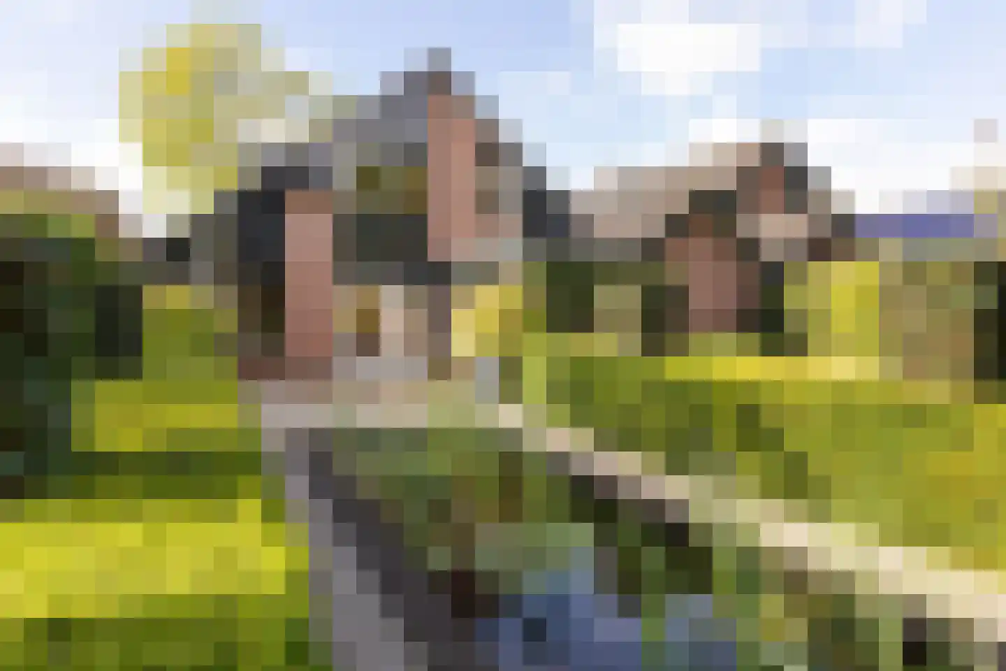 Vogelwikke 21 en Maartensdijk