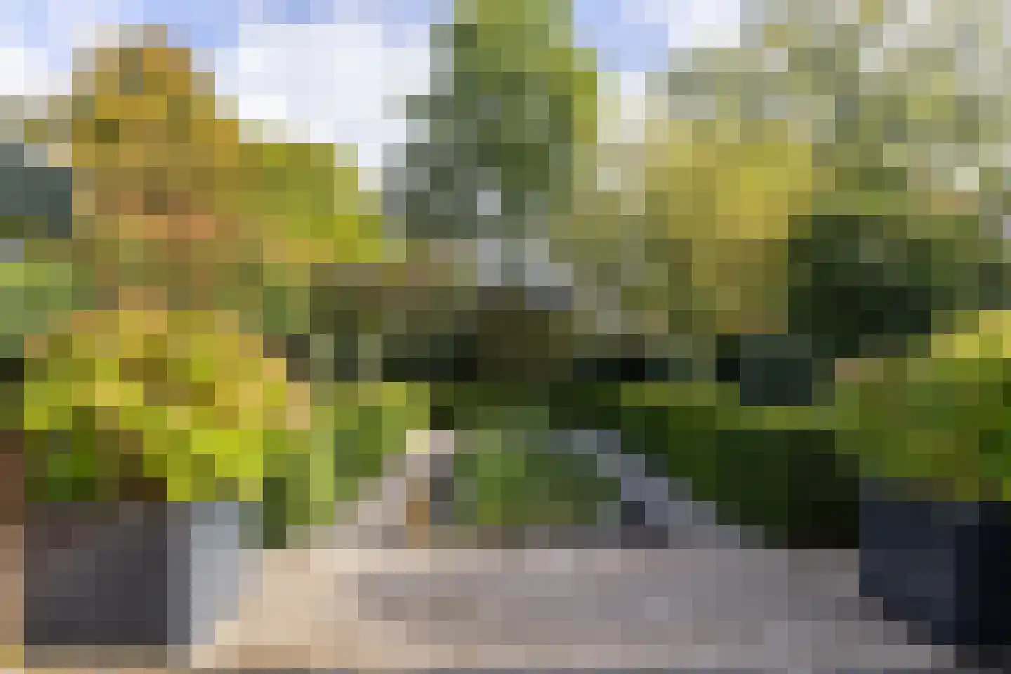Vogelwikke 21 Maartensdijk thumbnail 35