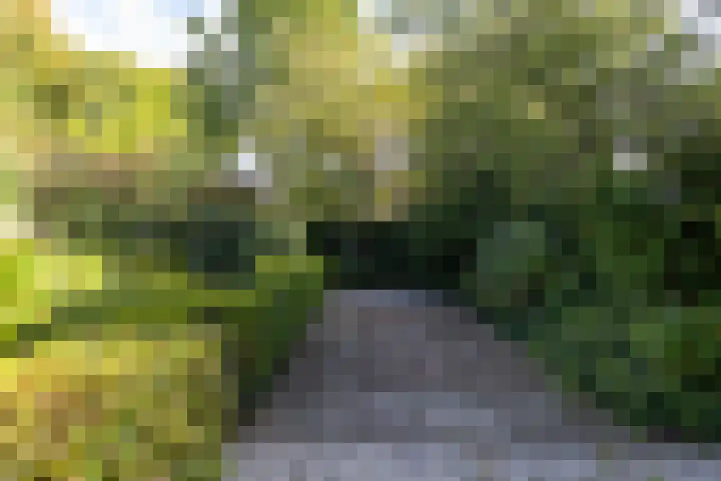 Vogelwikke 21 Maartensdijk thumbnail 38