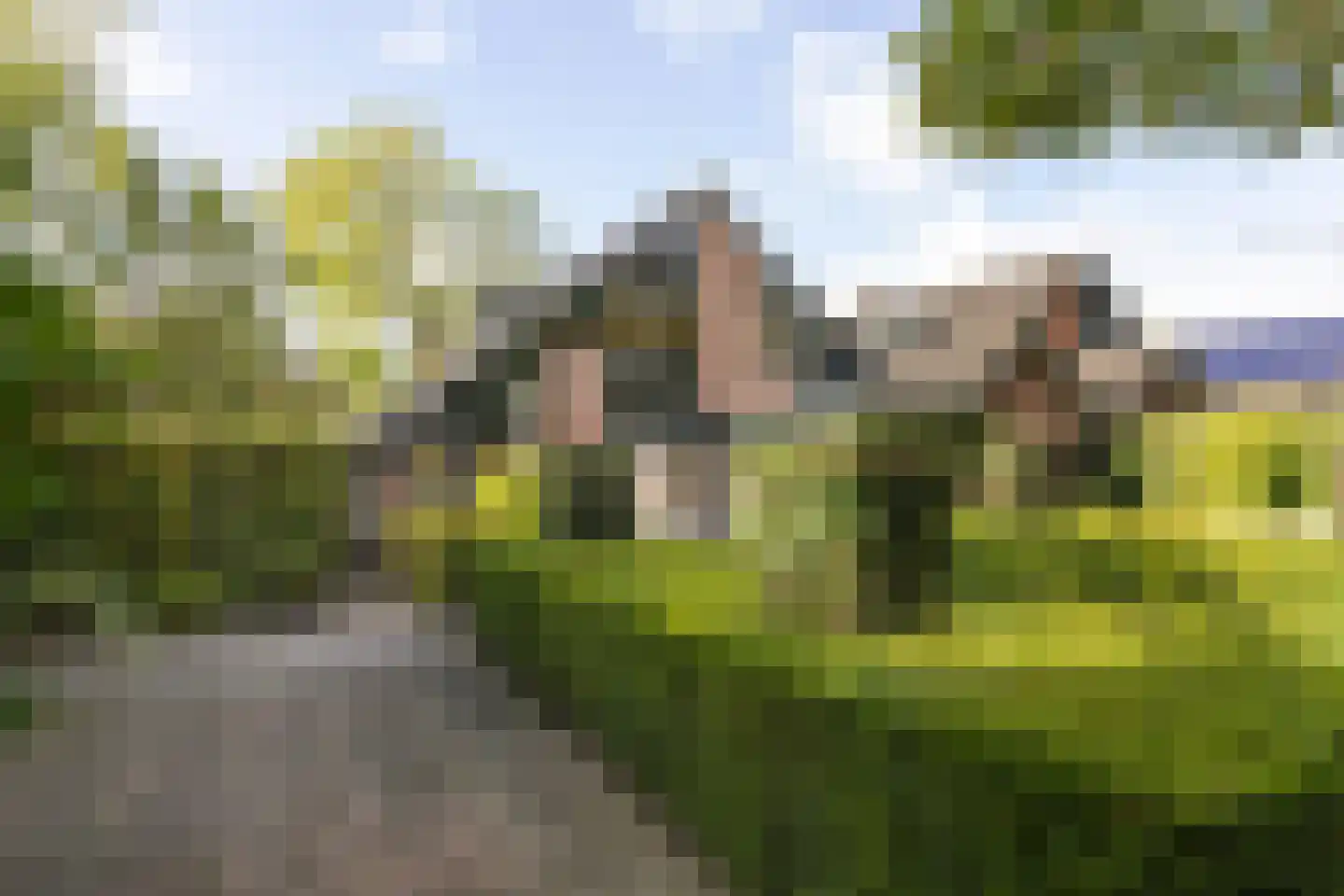 Vogelwikke 21 Maartensdijk thumbnail 40