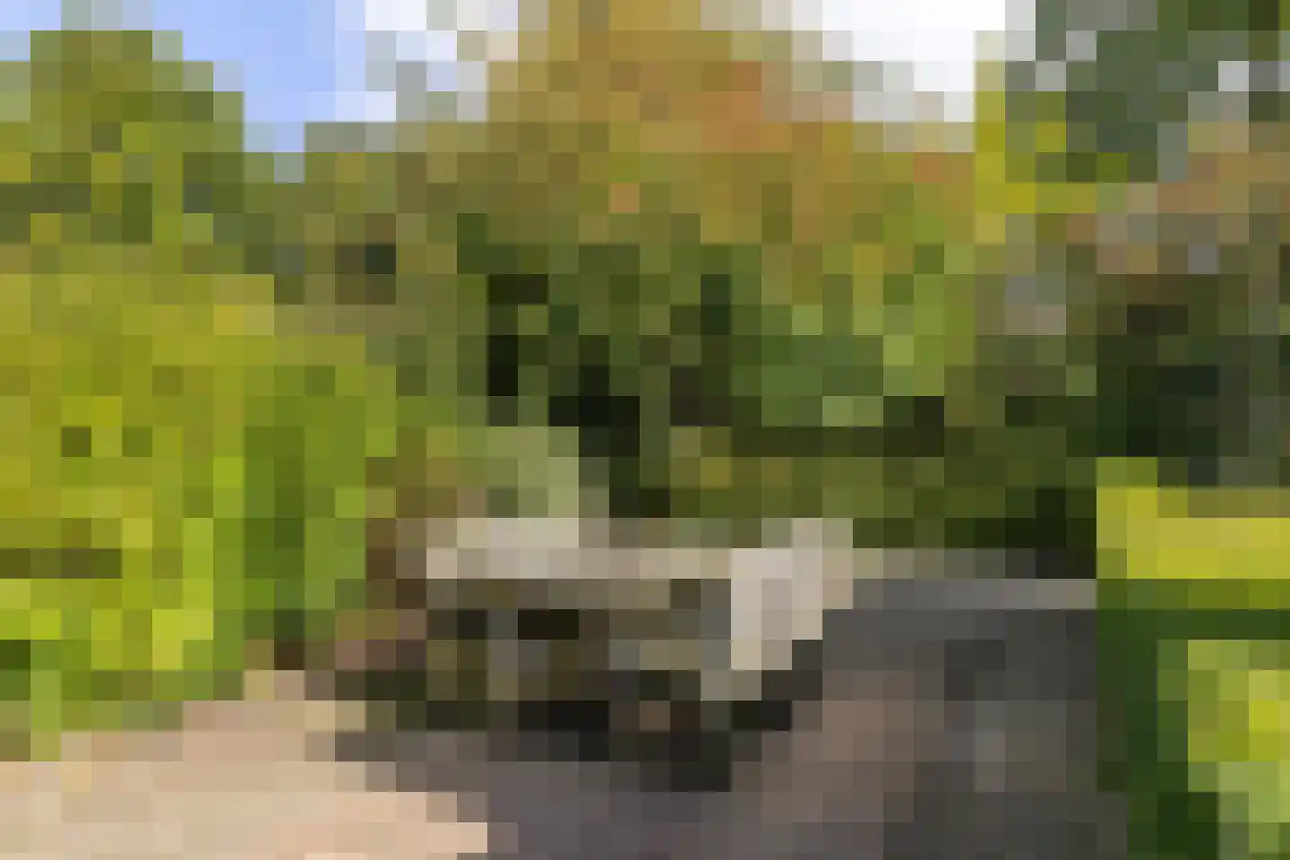 Vogelwikke 21 Maartensdijk thumbnail 41