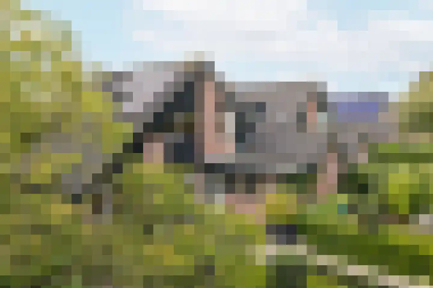Vogelwikke 21 Maartensdijk thumbnail 42