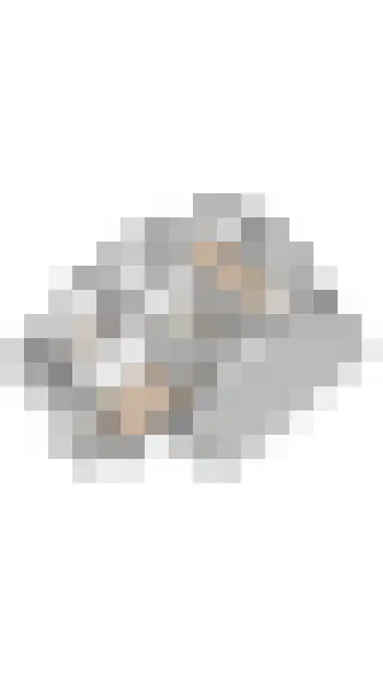 Vogelwikke 21 Maartensdijk thumbnail 50