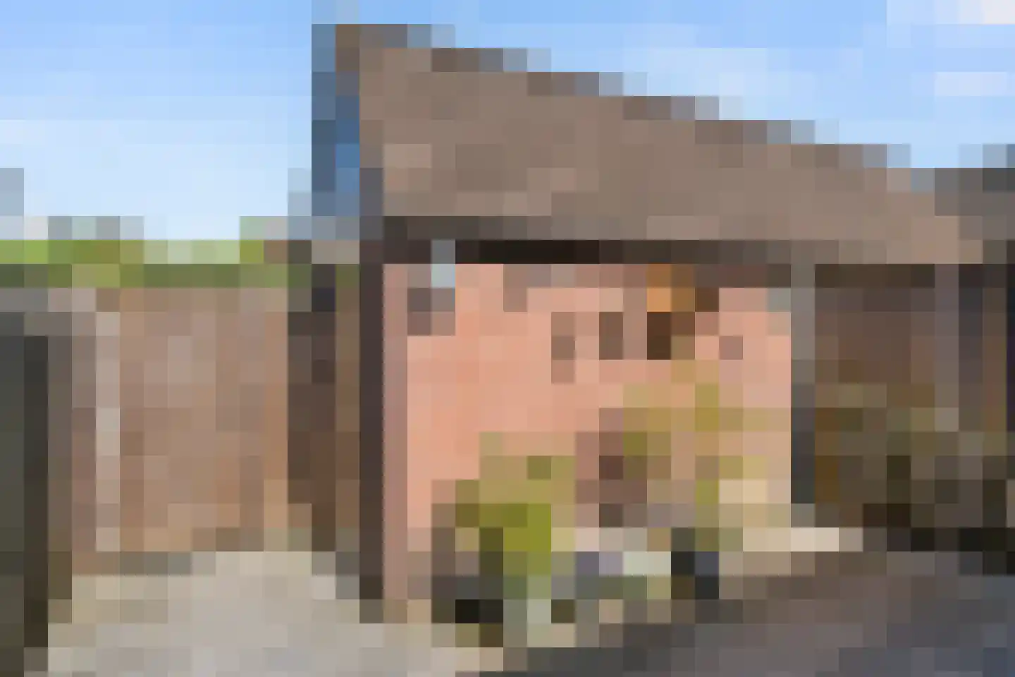 Vogelwikke 24 Bennekom thumbnail 12