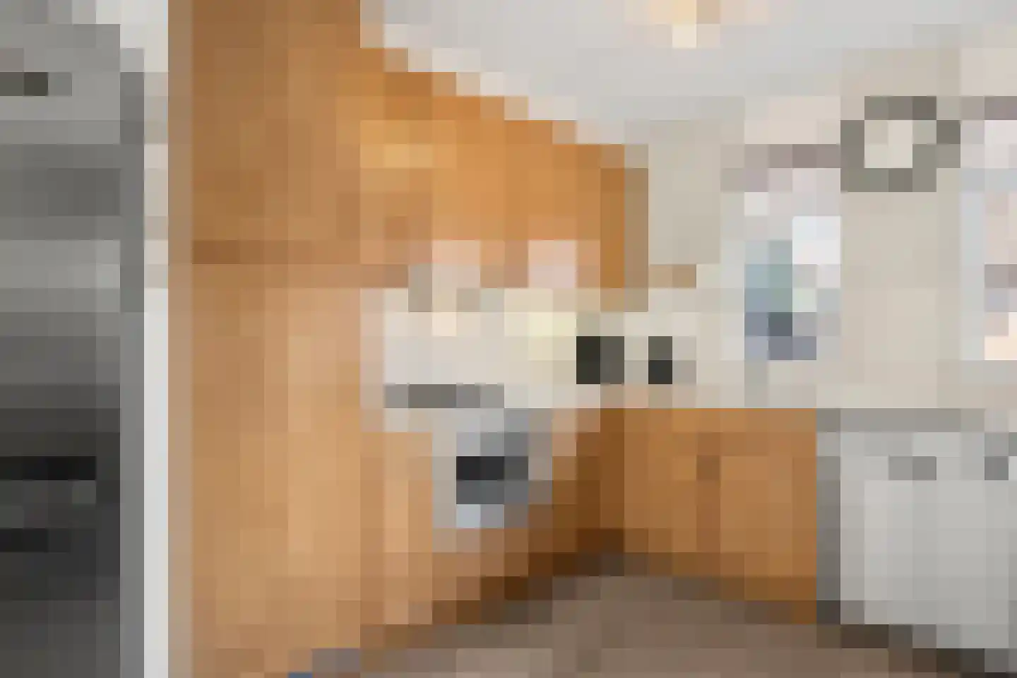 Vogelwikke 24 Bennekom thumbnail 22