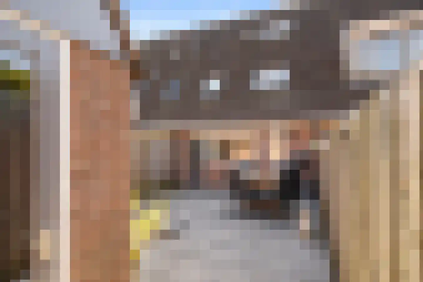 Vogelwikke 24 Bennekom thumbnail 8