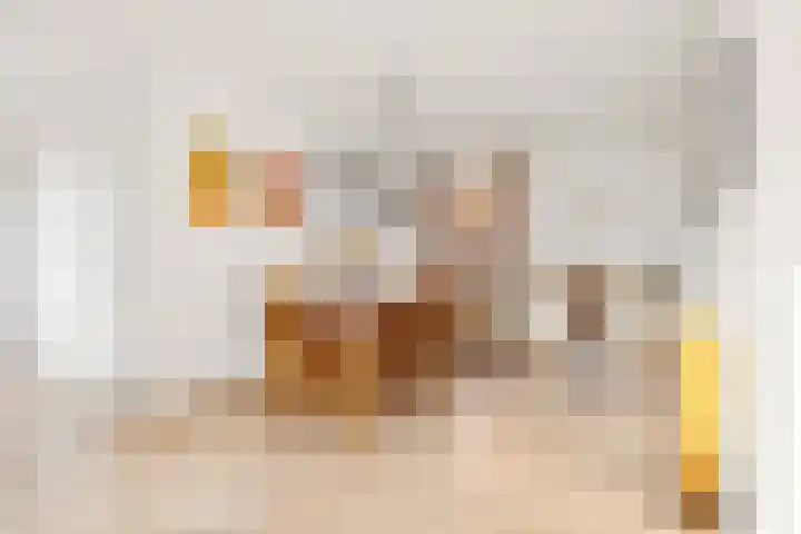 Vogelwikke 27 Zeeland thumbnail 16