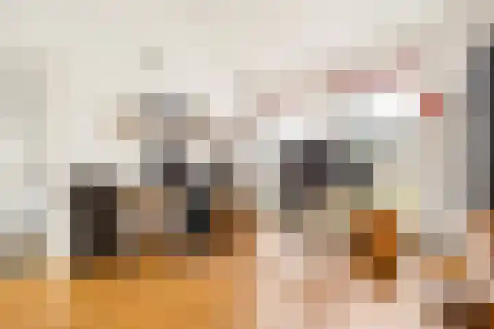 Vogelwikke 27 Zeeland thumbnail 27