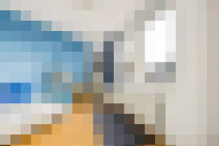 Vogelwikke 27 Zeeland thumbnail 37