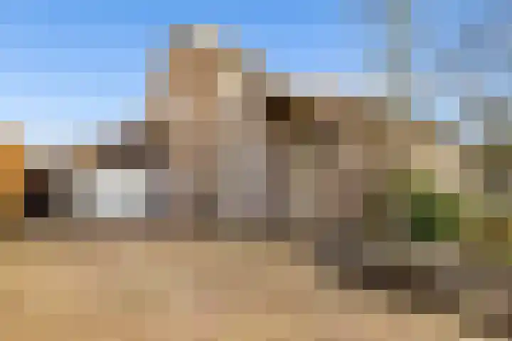 Vogelwikke 27 Zeeland thumbnail 4