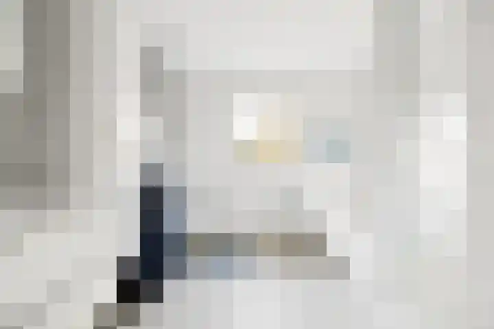 Vogelwikke 27 Zeeland thumbnail 41