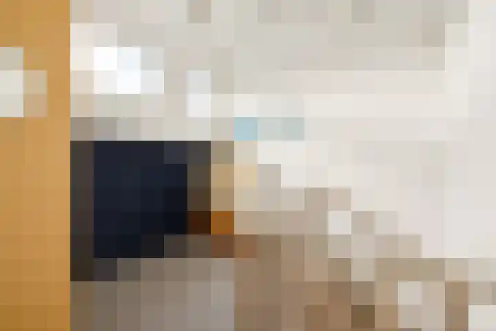 Vogelwikke 27 Zeeland thumbnail 44