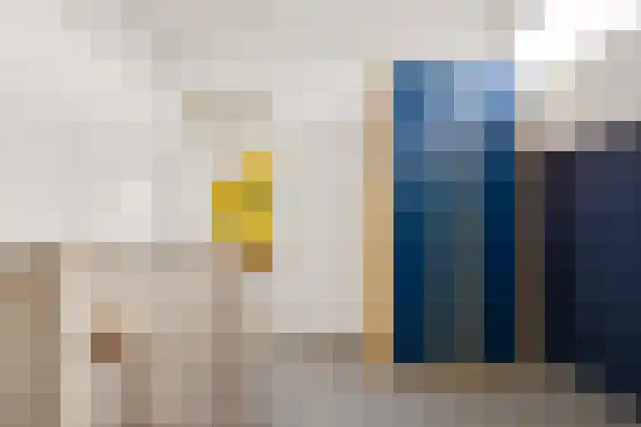 Vogelwikke 27 Zeeland thumbnail 45