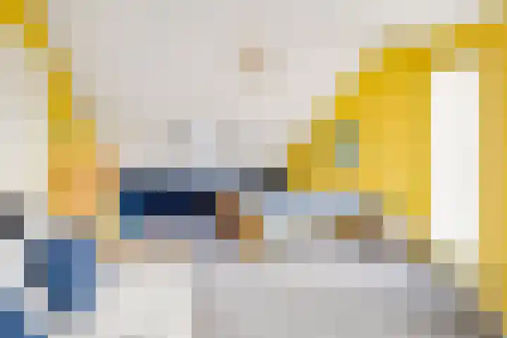 Vogelwikke 27 Zeeland thumbnail 47
