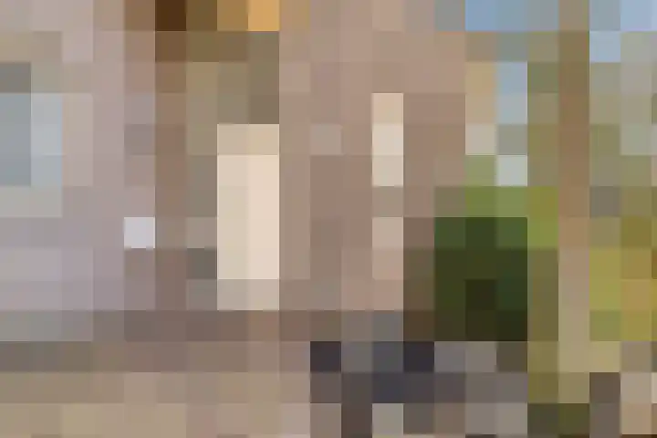 Vogelwikke 27 Zeeland thumbnail 5