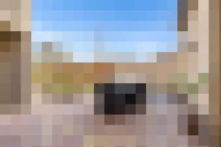 Vogelwikke 27 Zeeland thumbnail 50