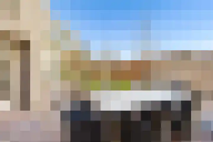Vogelwikke 27 Zeeland thumbnail 51