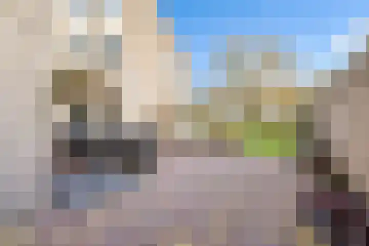 Vogelwikke 27 Zeeland thumbnail 53