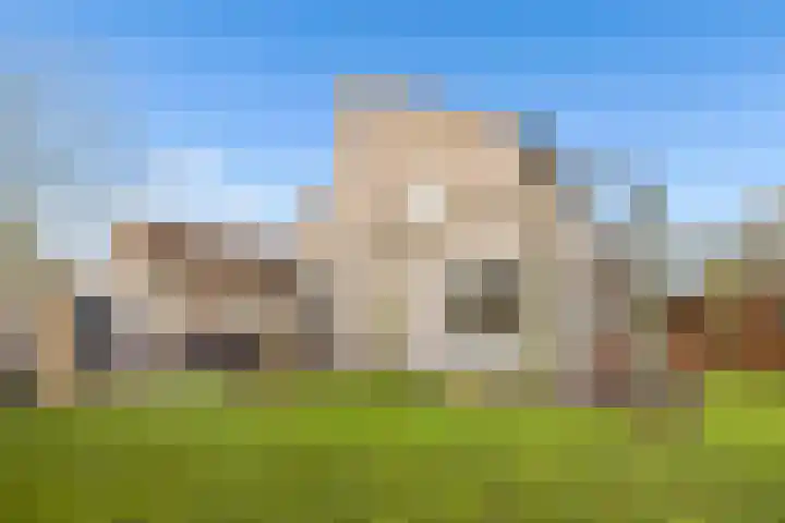 Vogelwikke 27 Zeeland thumbnail 54